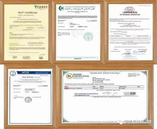 調(diào)理與治療的完美結合 一位肺癌患者的康復之旅